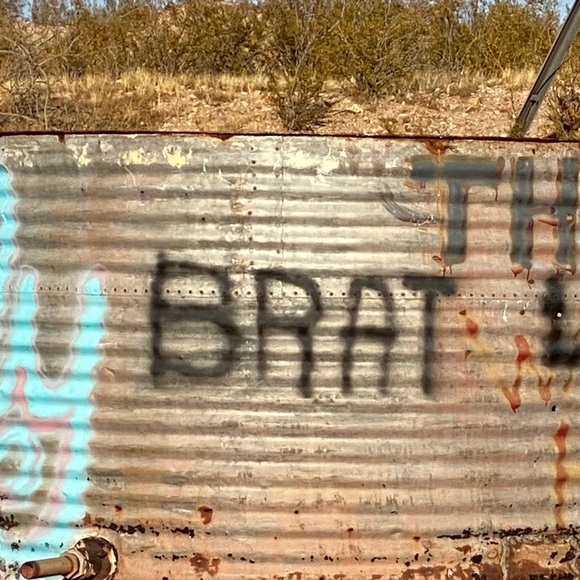 Meet your Posher, Mojavette - Picture 1 of 1